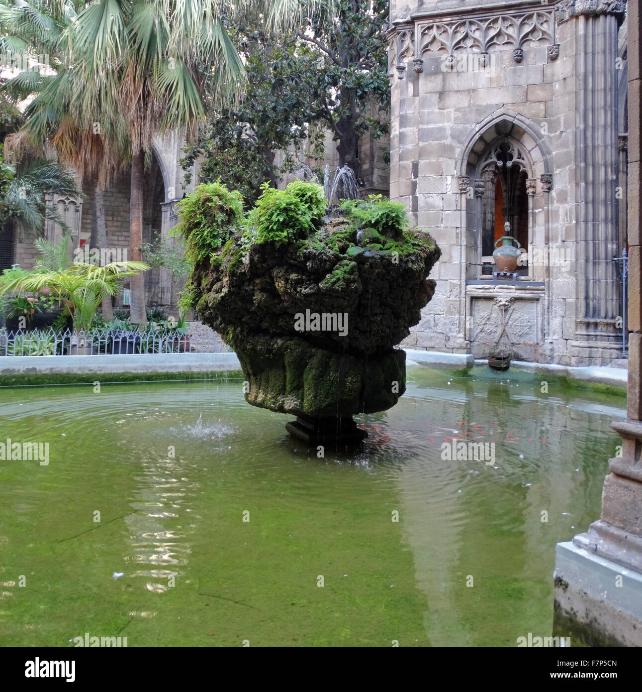 My Image 22