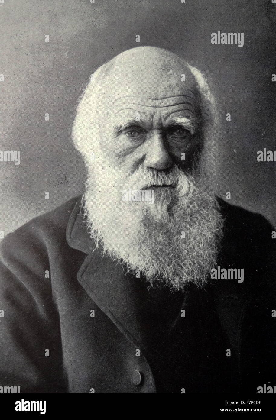 Charles Darwin 1809 - 1882 Stock Photo