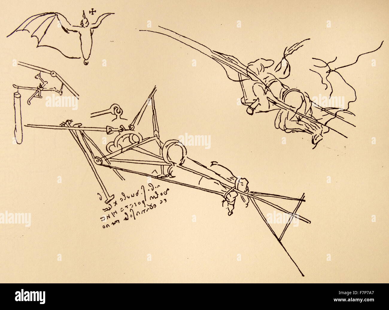 Leonardo da vinci wings jointed ornithopter flying artist art painting hires stock photography