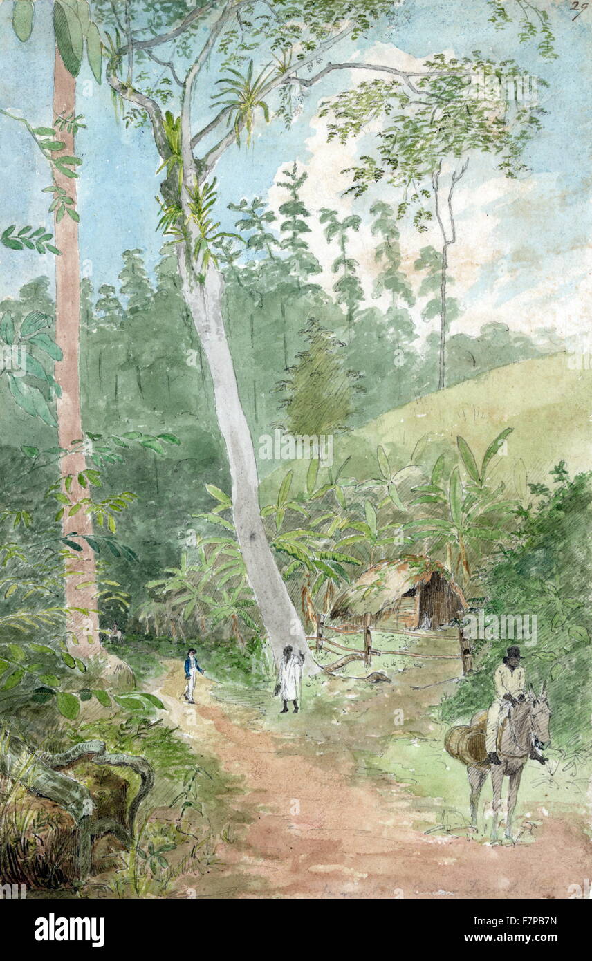 Jamaica, Plantain walk, watchman's hut, man with casks of water Negro watchman and book-keeper. Negro on a mule. Drawing, watercolour, black ink, pencil. Artist William Berryman (1808-1816). Stock Photo
