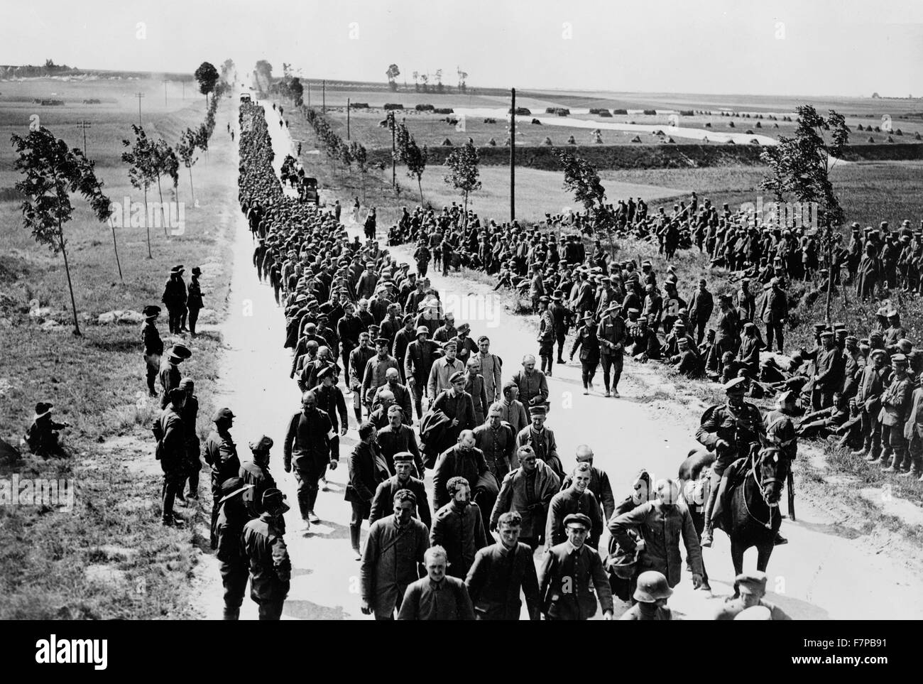 Official photographic print taken on the British Western Front in France. German prisoners in batches of 1,000 arriving at a prisoners of war cage. Photograph of a long line of German soldiers, prisoners of war, walking along roadway, somewhere in France. Stock Photo