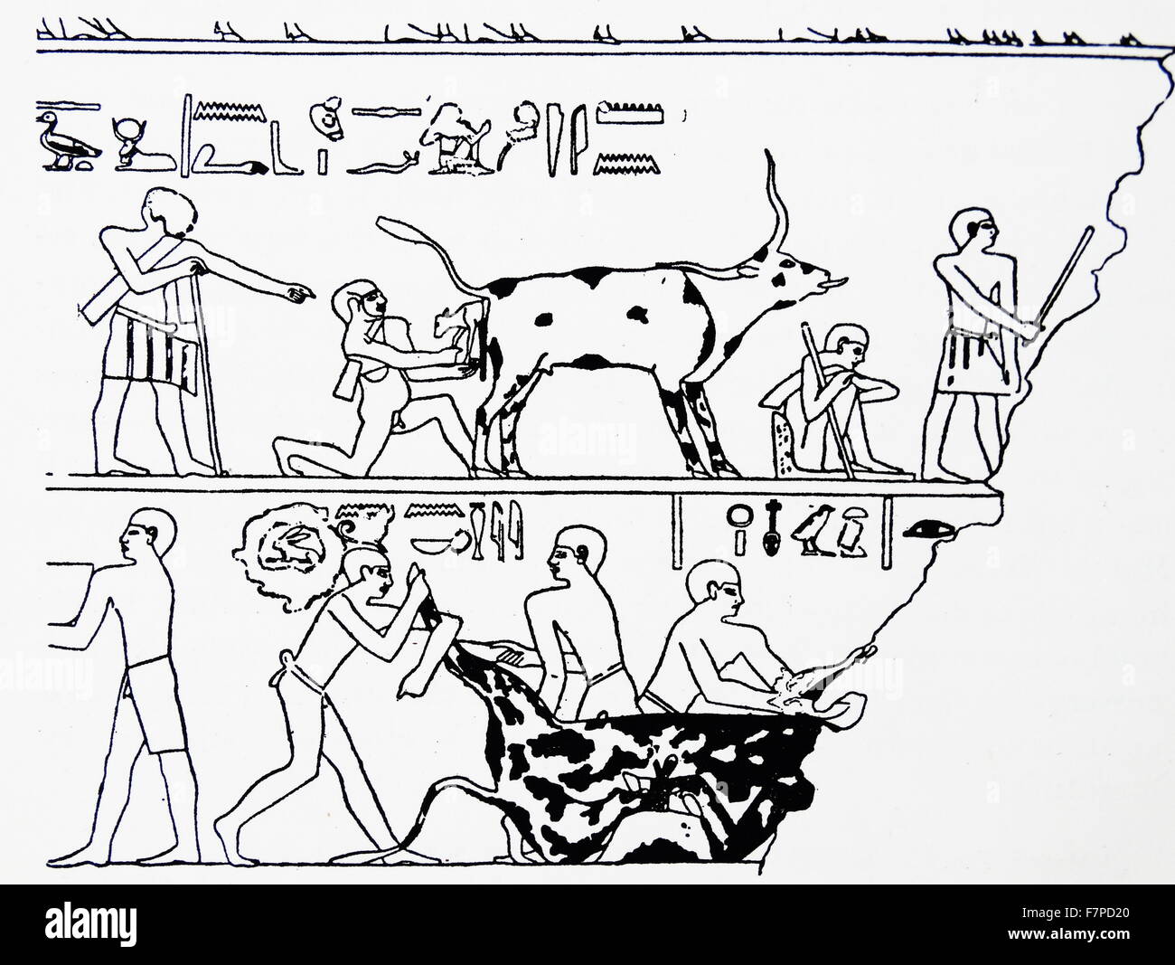 Freize depicting a cattle herders of the 14th Dynasty Upper Egyptian nome during the 6th and the 12th dynastie Stock Photo