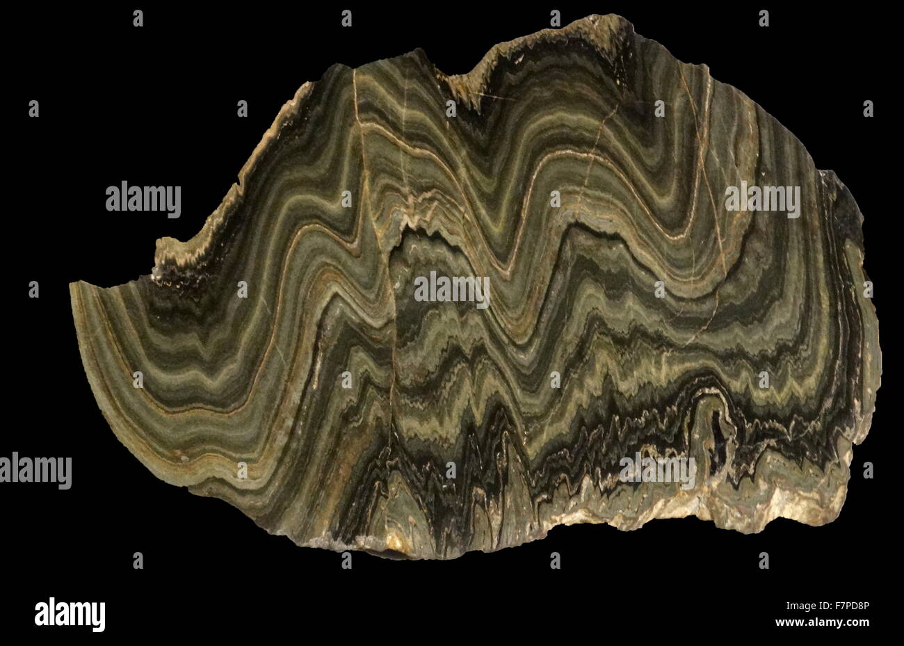 Folded schist schist rock layers squashed squeezed natural nature ancient hires stock