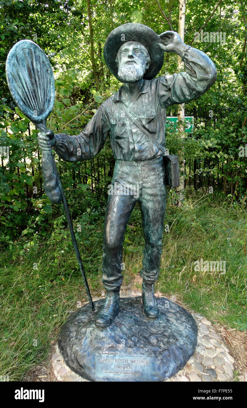 Statue of Alfred Russel Wallace (1823-1913) Victorian naturalist. Dated 2013 Stock Photo