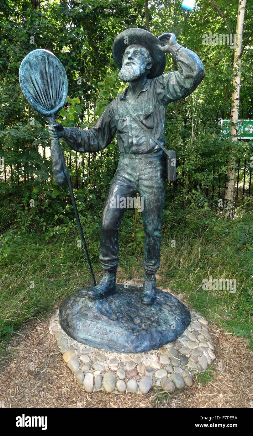 Statue of Alfred Russel Wallace (1823-1913) Victorian naturalist. Dated 2013 Stock Photo