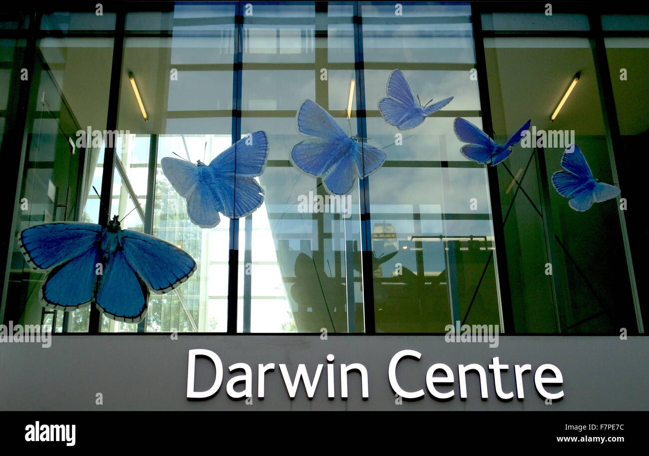 Exterior of the Darwin Centre, an education and research centre of the Natural History Museum. Dated 2015 Stock Photo