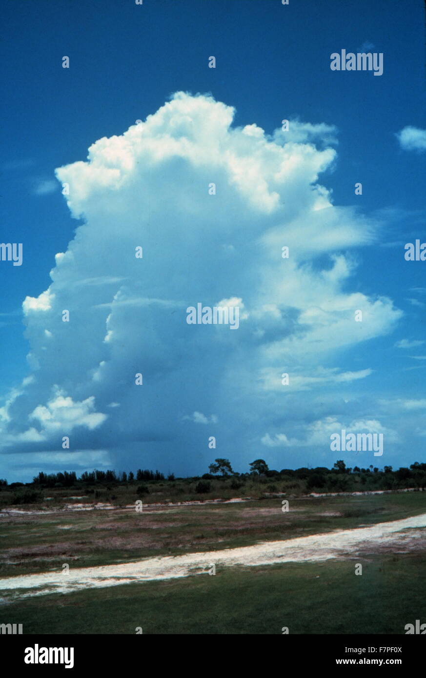 Photograph of Cumulus humilis, a cumuliform cloud with little vertical extent that is commonly referred to as 'fair weather cumulus'. Dated 1981 Stock Photo