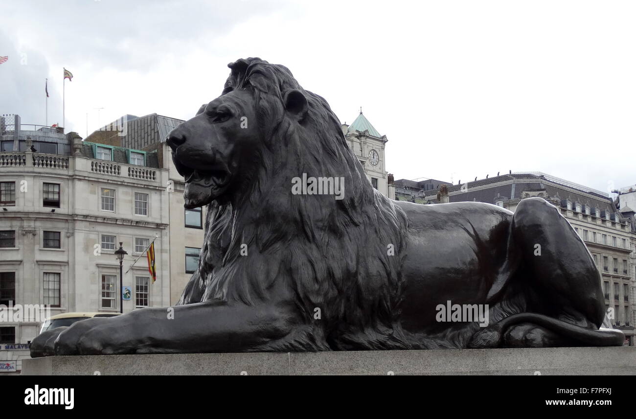 Lion statue at the base of Nelson's Column monument in Trafalgar Square in central London Stock Photo
