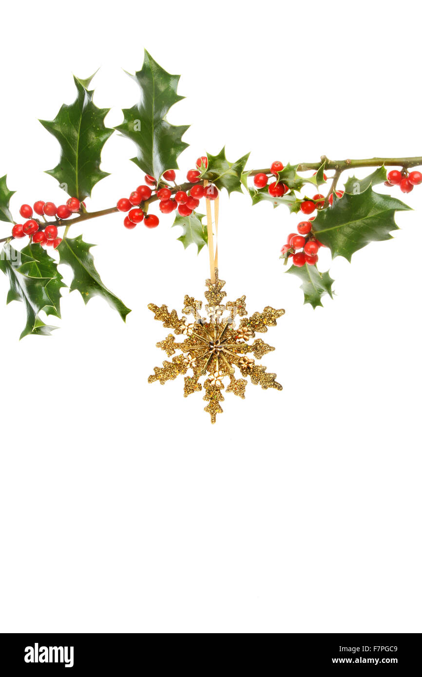 Gold glitter Christmas star hanging from a Holly bough with red berries ...