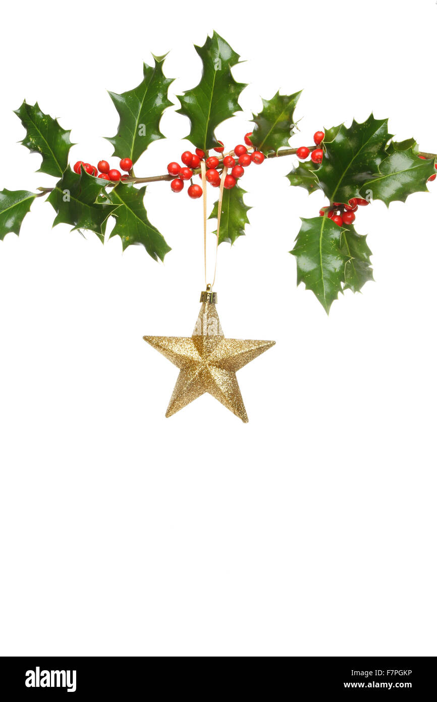 Gold glitter Christmas star ornament hanging from a Holly branch ...