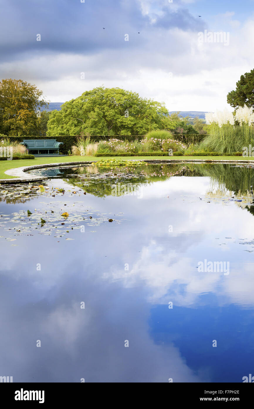 Reflections in the still water of a pond, on the Lily Terrace at Bodnant Garden, Conwy, Wales, in October. Stock Photo
