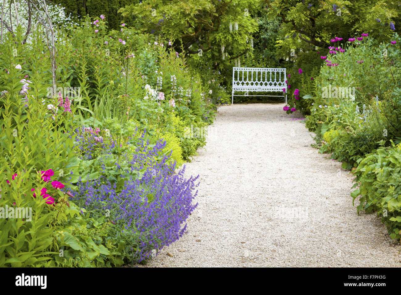 The Rose Walk in full bloom in June, Hidcote, Gloucestershire. Stock Photo