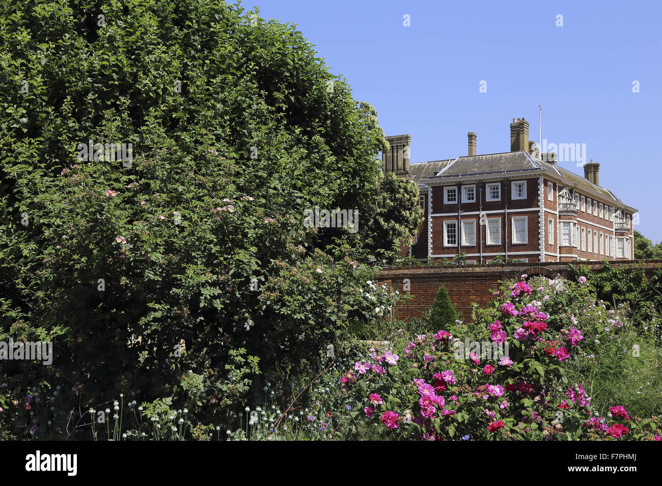 Roses blooming in the gardens in July, with the house seen in the