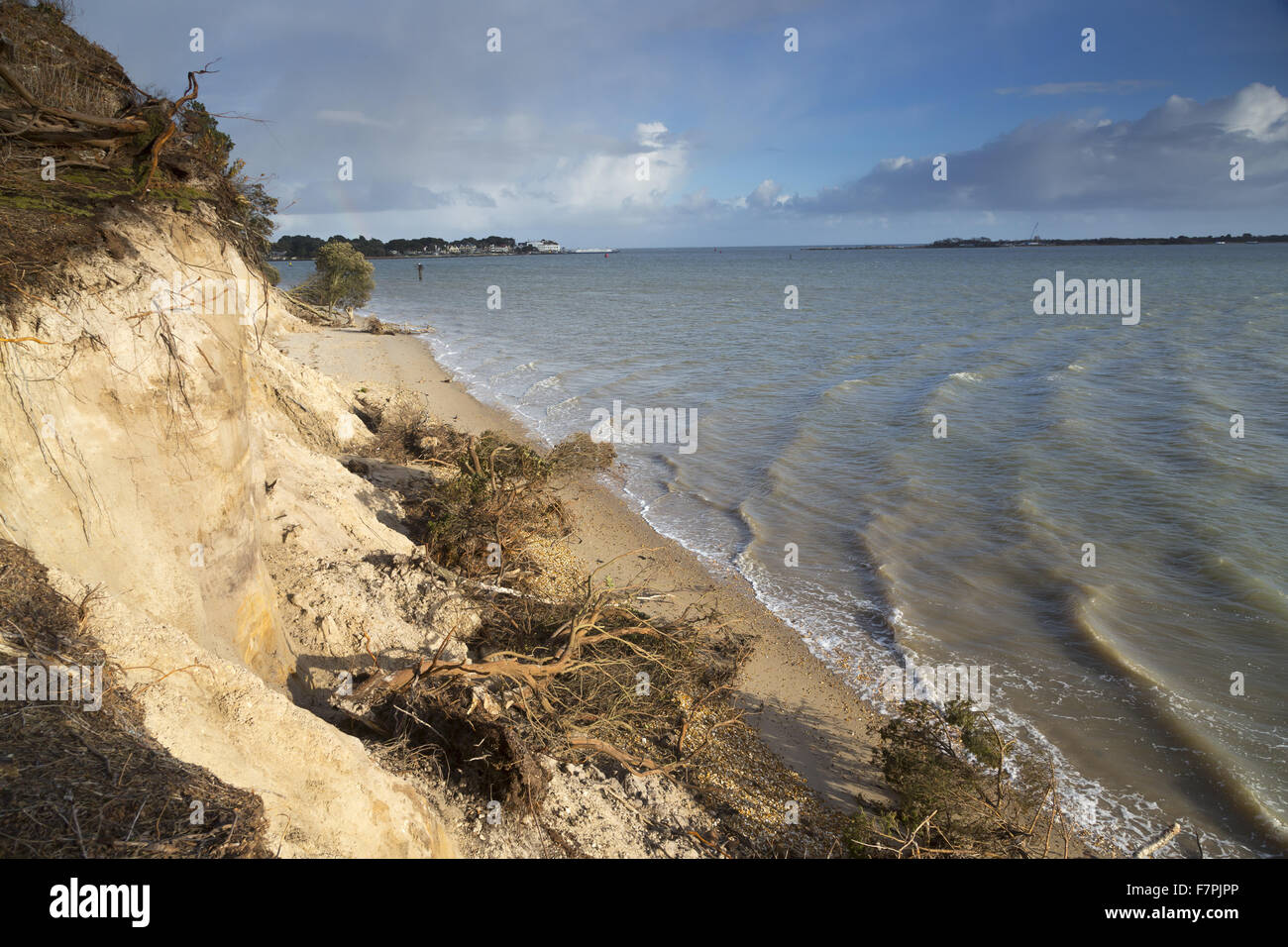 View of the storm-damaged cliffs and beach on the South Shore of Brownsea Island, Dorset, pictured here in February 2014. Extreme weather in January and February of that year resulted in cliff falls and rapid erosion of the coastline. Stock Photo