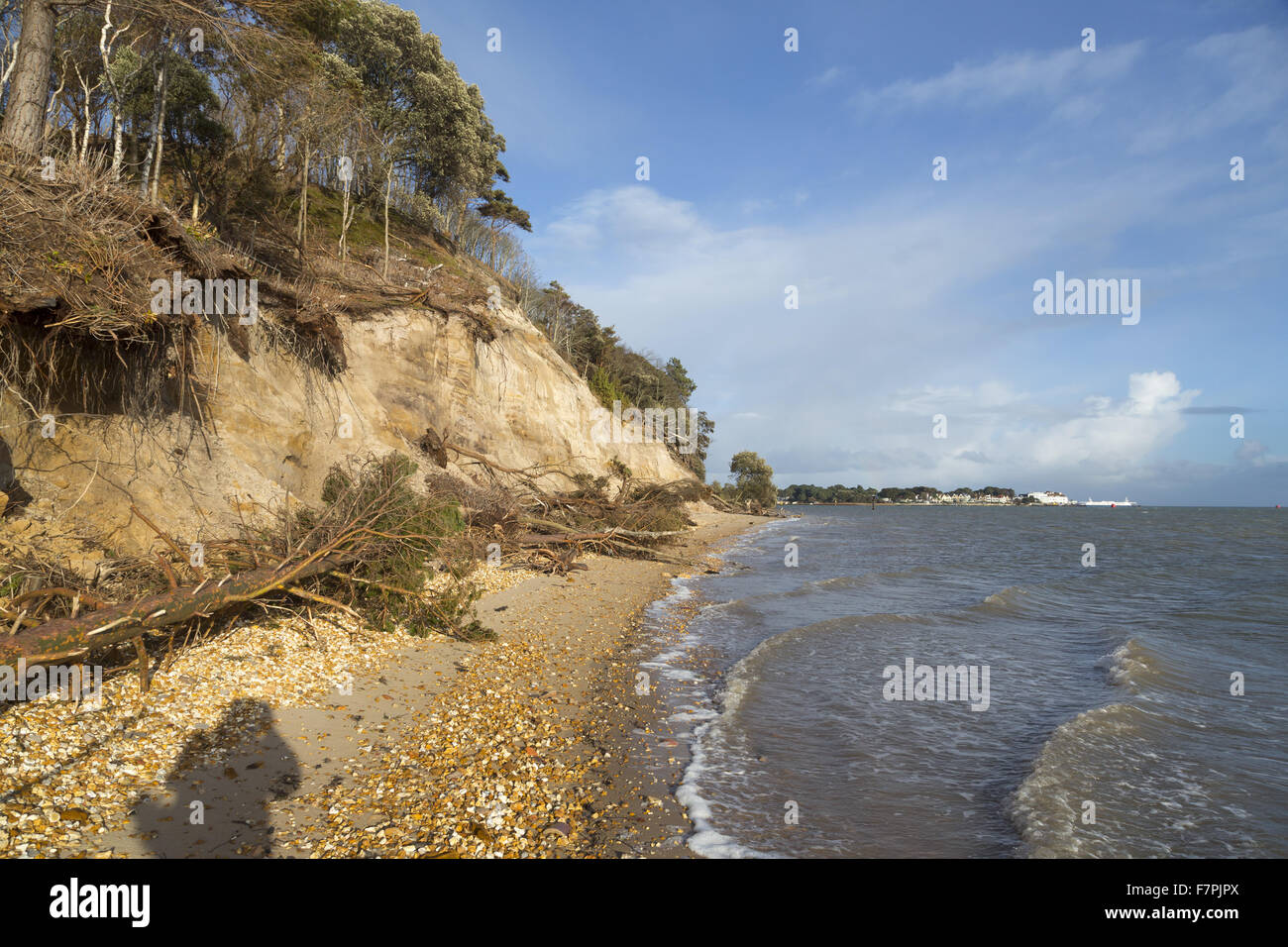 View of the storm-damaged cliffs and beach on the South Shore of Brownsea Island, Dorset, pictured here in February 2014. Extreme weather in January and February of that year resulted in cliff falls and rapid erosion of the coastline. Stock Photo