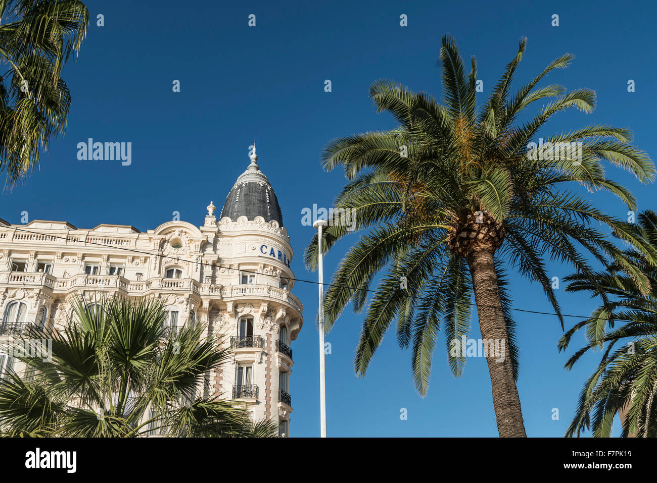 Carlton, Hotel, Facade, Palm tree, Cannes, Stock Photo