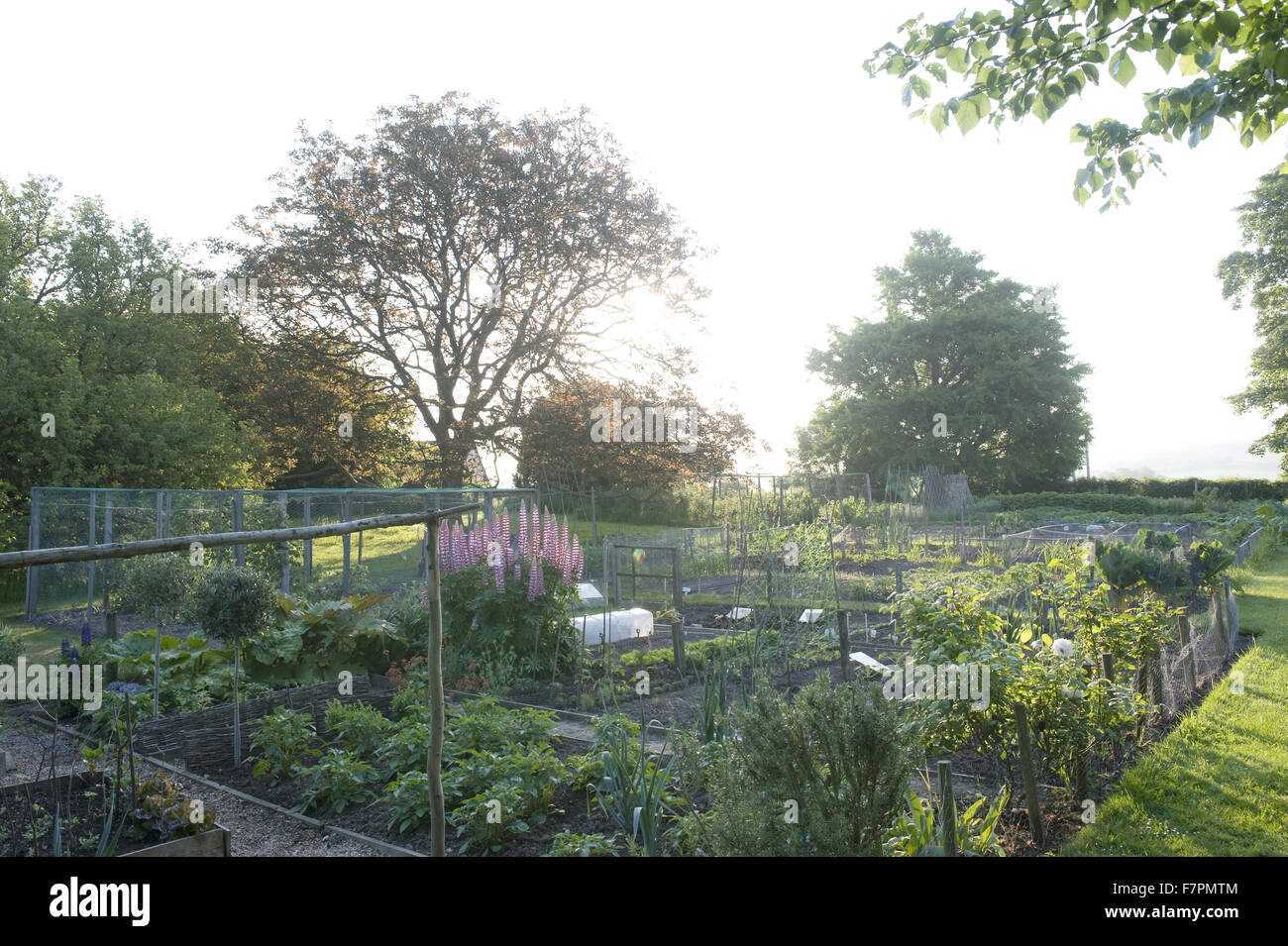 The vegetable garden at Monk's House, East Sussex. Monk's House was the writer Virginia Woolf's country home and retreat. Stock Photo