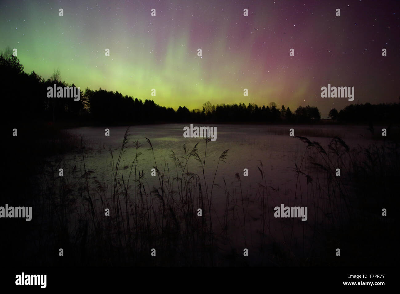 Northern lights (Aurora Borealis) bu the lake Stock Photo
