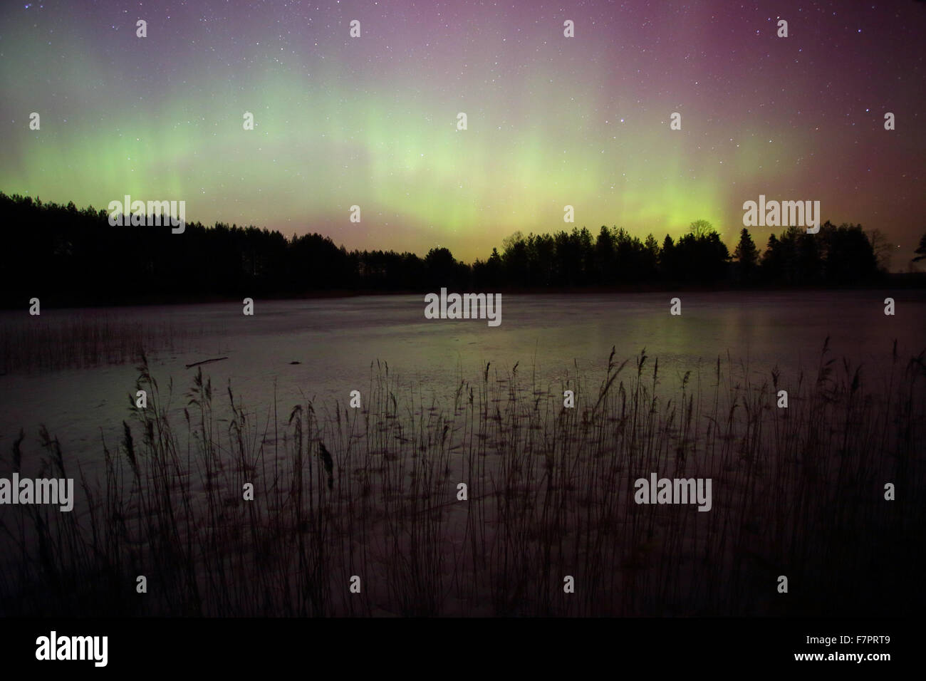 Northern lights (Aurora Borealis) by the lake Stock Photo