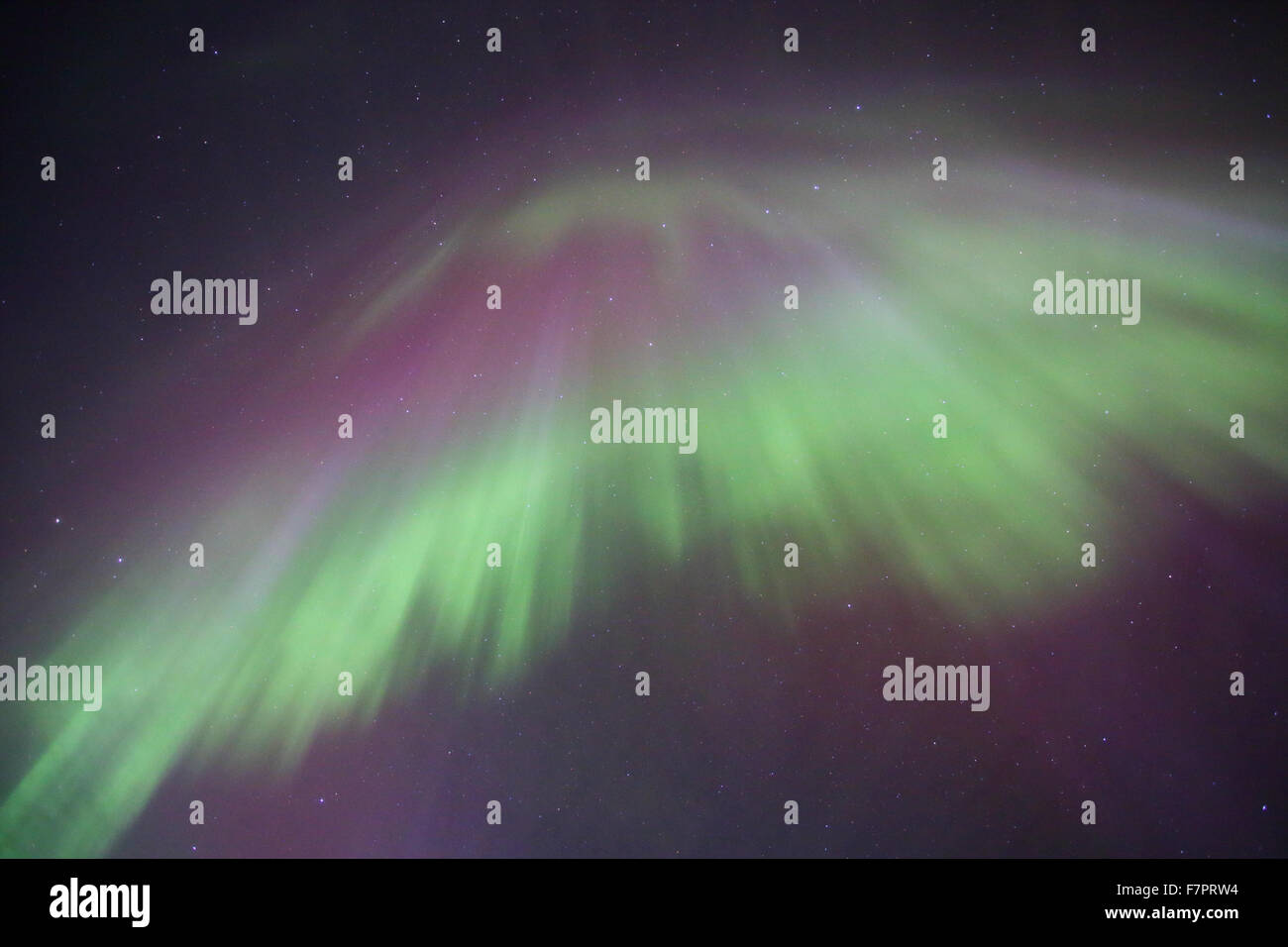 Northern lights (Aurora Borealis) in the sky Stock Photo