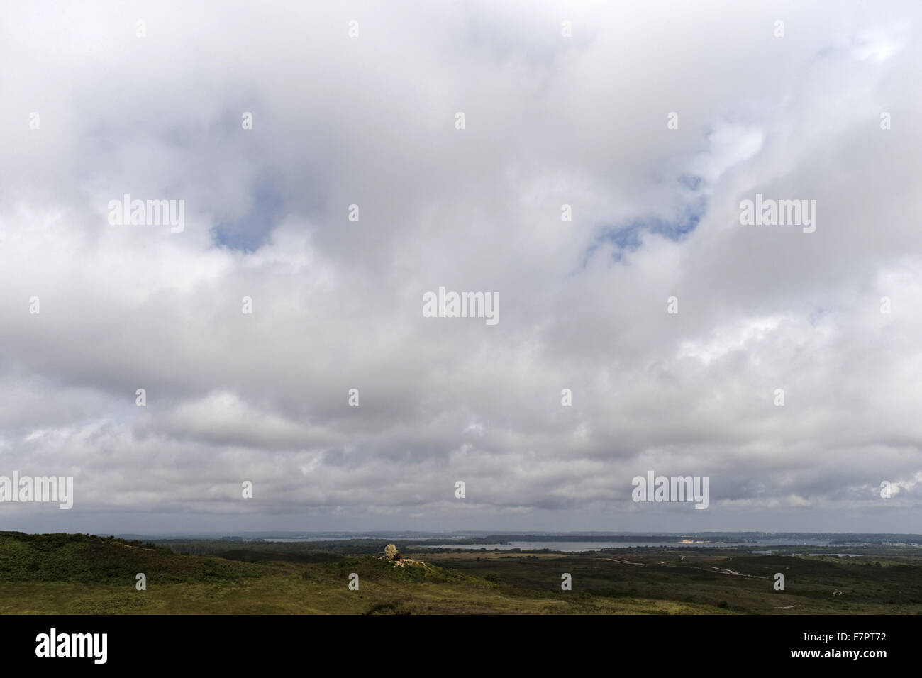 View of Godlingston Heath, with the Agglestone seen in the centre, Purbeck Countryside, Dorset. The Agglestone is a 400 ton ironstone rock standing on Godlingston Heath. There are more than 54 miles of paths and bridleways for visitors to explore in Purbe Stock Photo