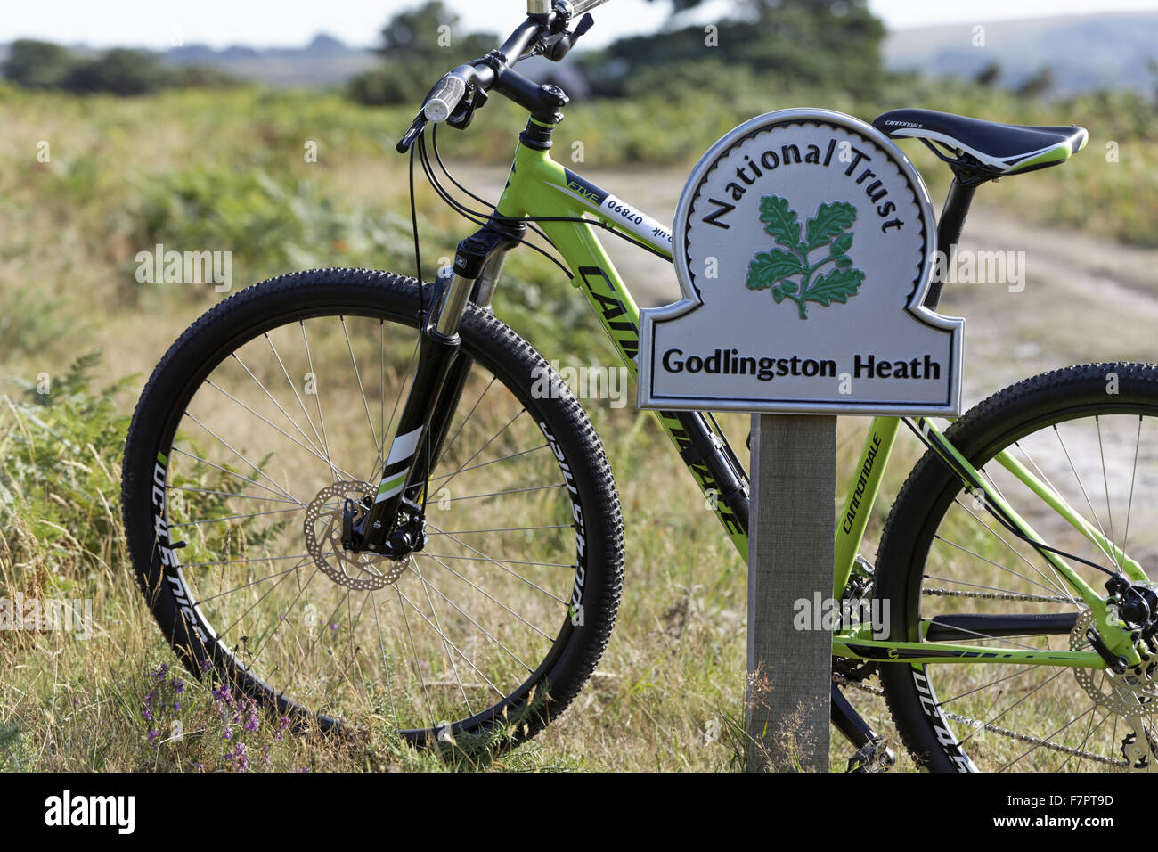 Bike leaning against a sign for Godlingston Heath on the Greenlands Track, Studland, Dorset, part of the Rempstone Ride cycle route. There are more than 54 miles of paths and bridleways for visitors to explore in Purbeck. Stock Photo