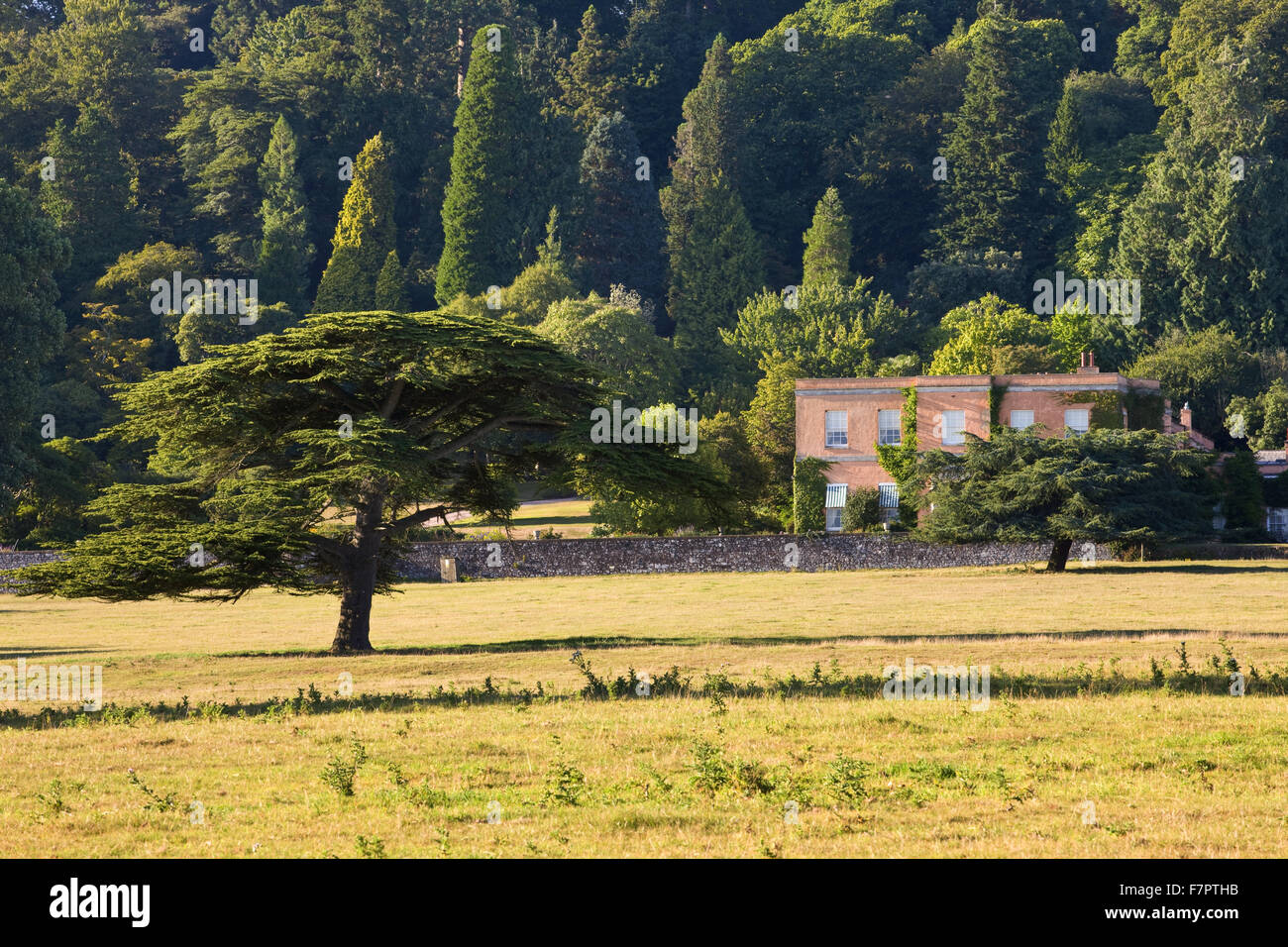 View across the park to the house at Killerton, Devon, in September. Stock Photo