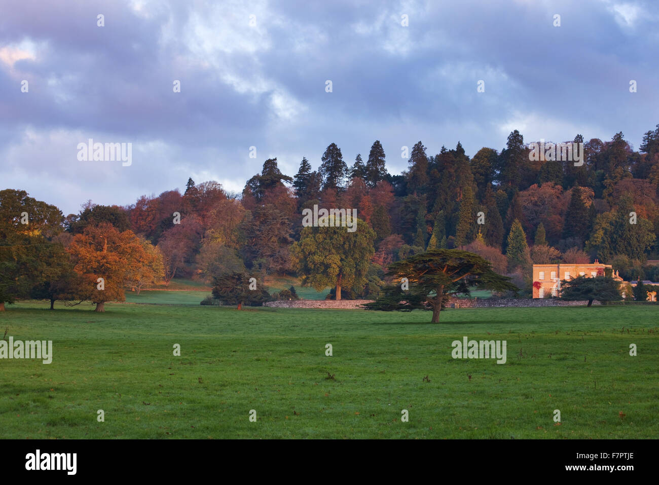 View across the park to the house at Killerton, Devon, in September. Stock Photo
