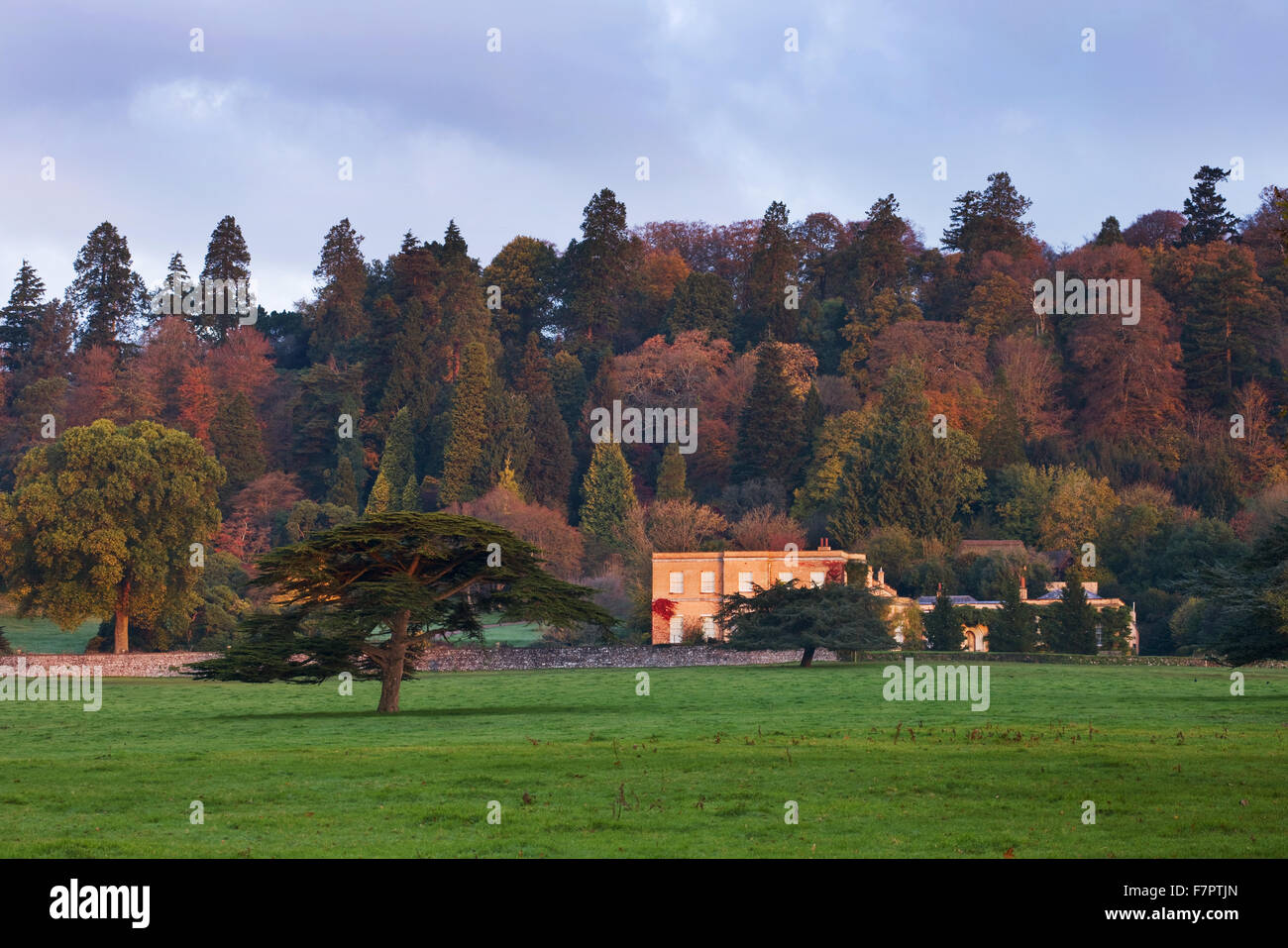 View across the park to the house at Killerton, Devon, in September. Stock Photo