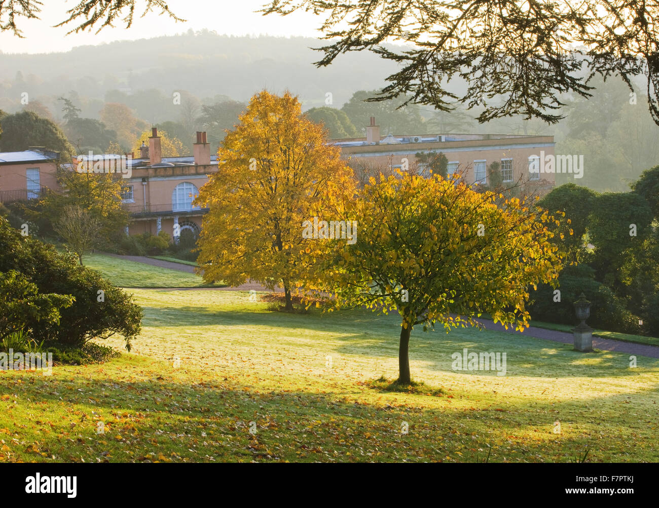 View of trees in the gardens at Killerton, Devon, in September, with the house seen beyond. Stock Photo