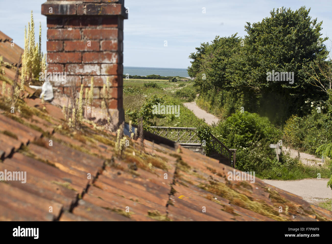The Roof Of A Holiday Cottage On The Holnicote Estate Somerset