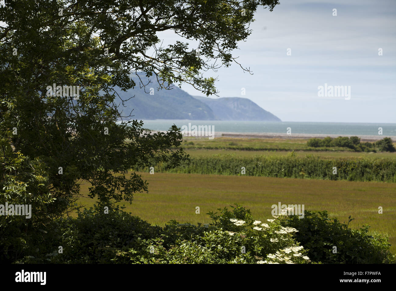 The Holnicote Estate Somerset Set Within Exmoor National Park