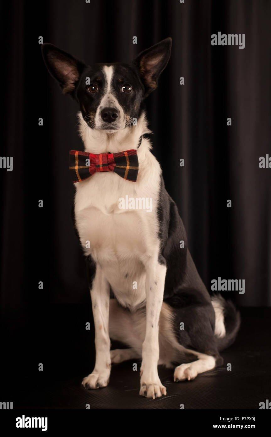 Sit black and white hi-res stock photography and images - Alamy