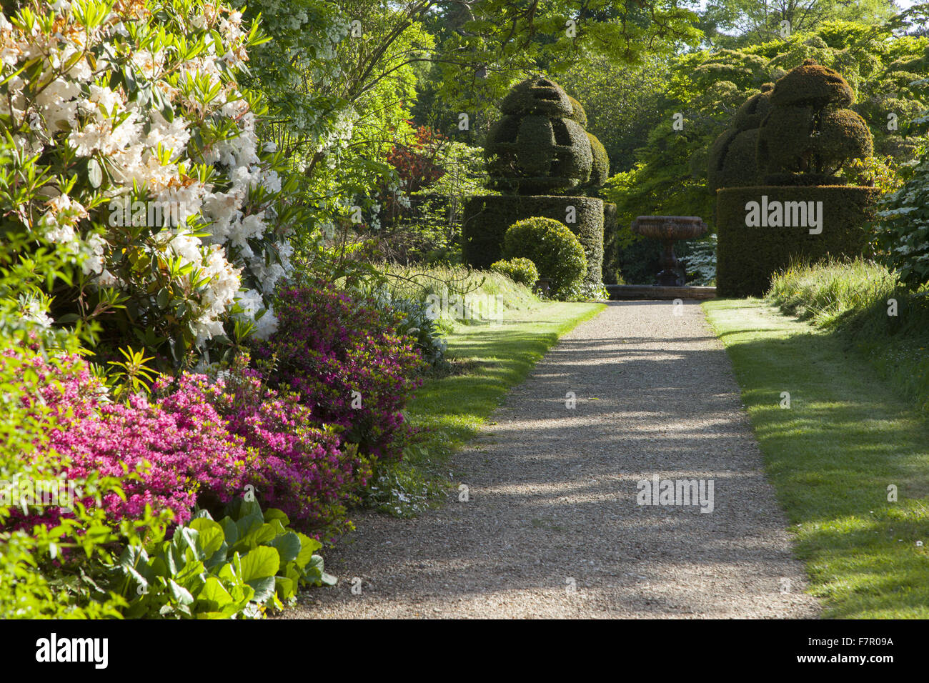 A border in bloom, along a pathway in the Wall Garden, Nymans, West Sussex, in June. Stock Photo