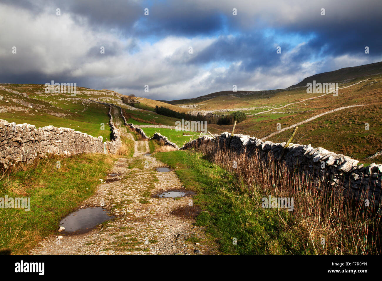 Horton Scar Lane near Horton in Ribblesdale North Yorkshire England
