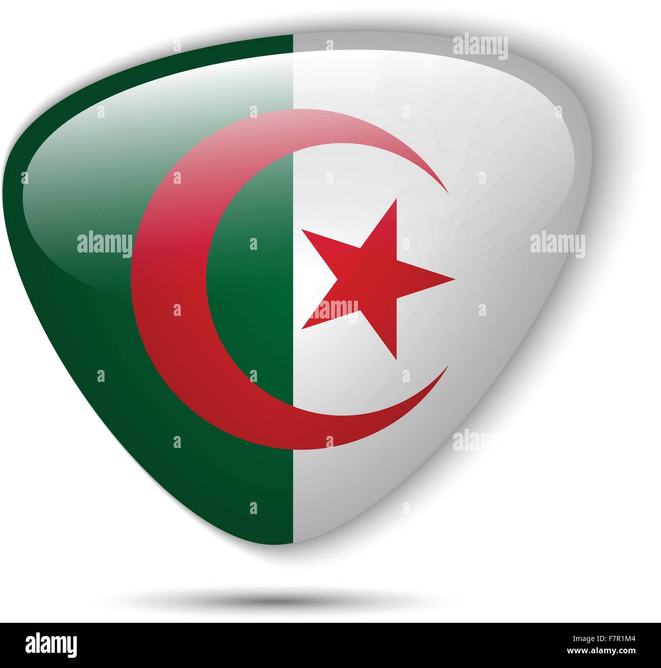 Algeria Flag Glossy Button Stock Vector