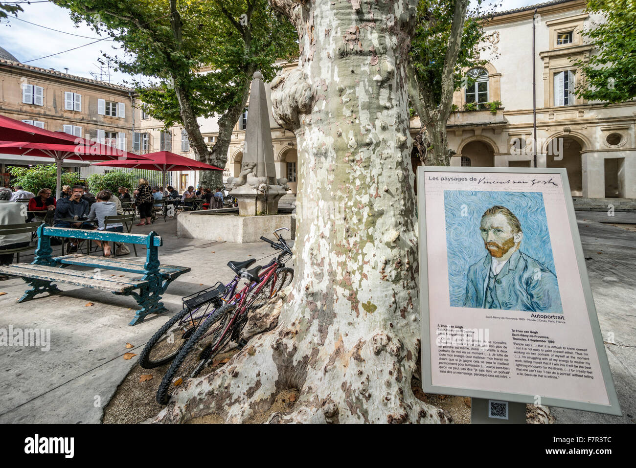 Van Gogh Info Sign, Plane Tree, village sqaure, Saint Remy de Provence, Provence, France Stock Photo