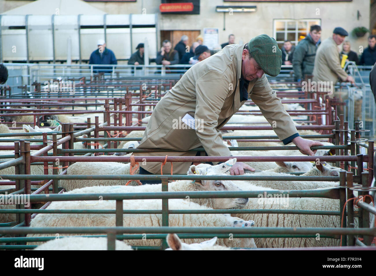 Uppingham, Rutland, UK., 2nd Dec 2015. The sheep pens in the Market Place at Uppingham, Rutland UK. Credit:  Jim Harrison/Alamy Live News Stock Photo