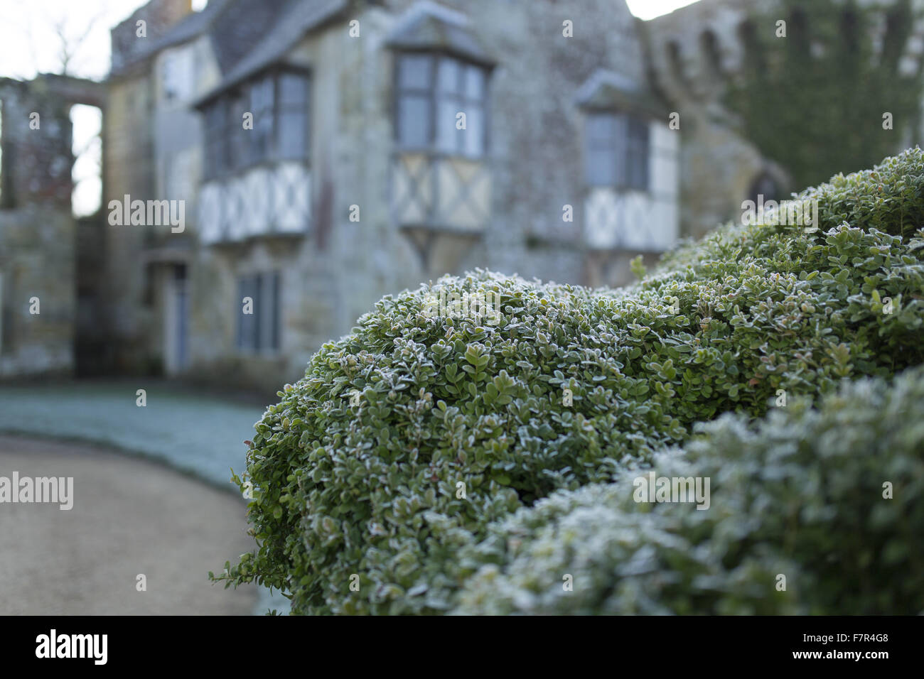 A winter's day at Scotney Castle, Kent. Scotney features a 14th century moated castle, a Victorian mansion and a romantic garden. Stock Photo