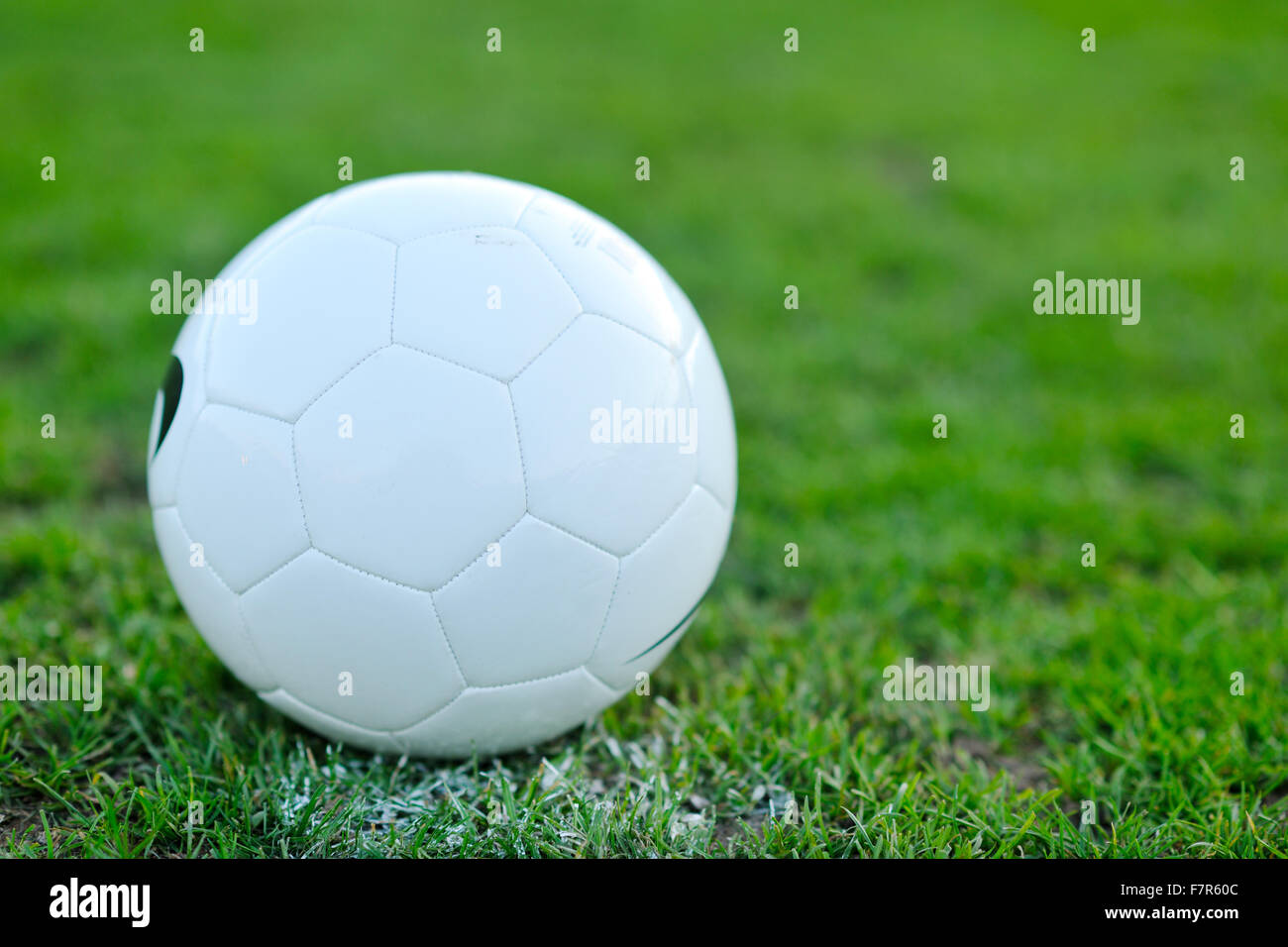 White Soccer Ball On Grass At Goal And Stadium In Background Stock Photo Alamy White Soccer Ball On Grass At Goal And Stadium In Background Stock Photo Alamy