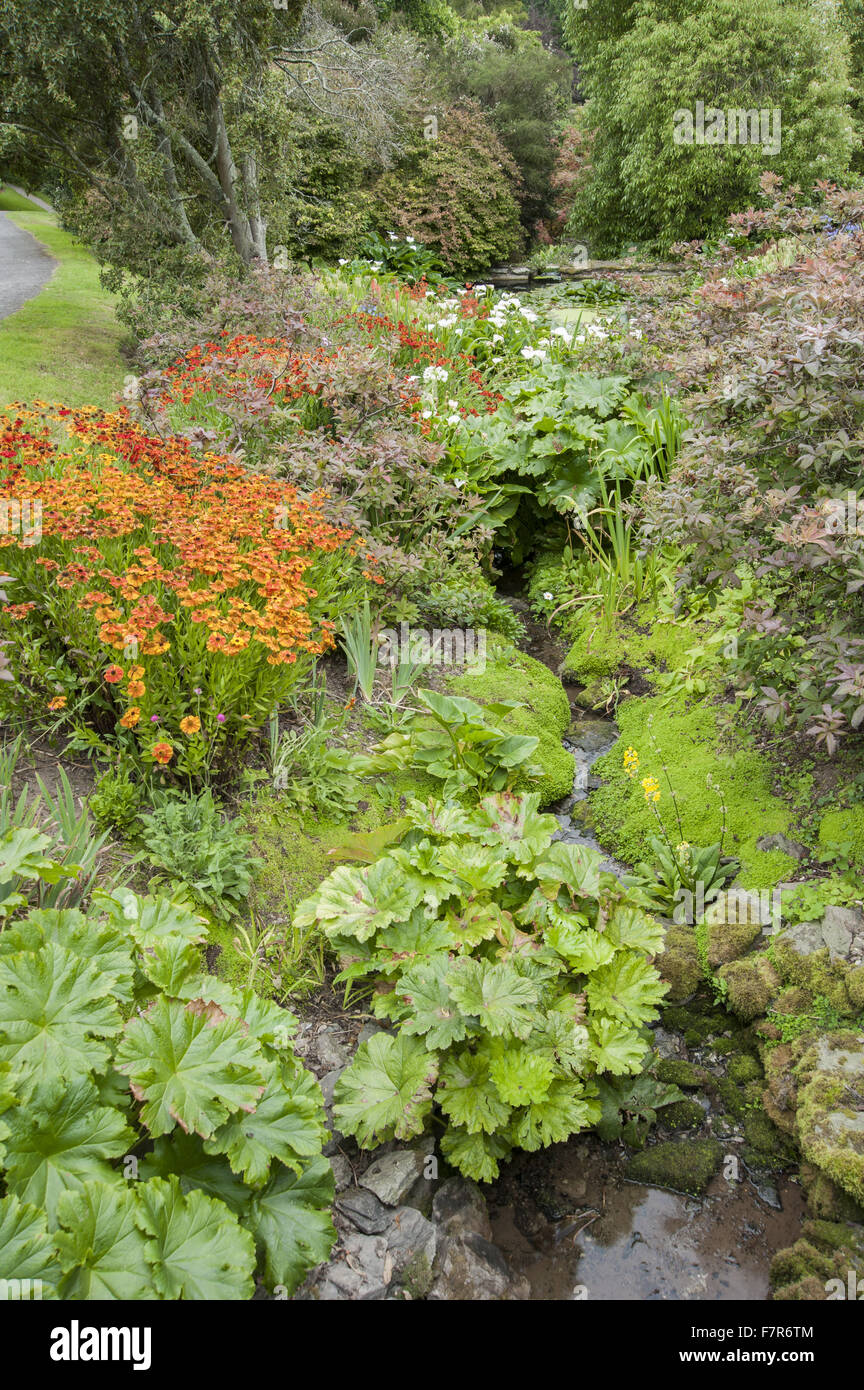 Dra66322 hires stock photography and images Alamy