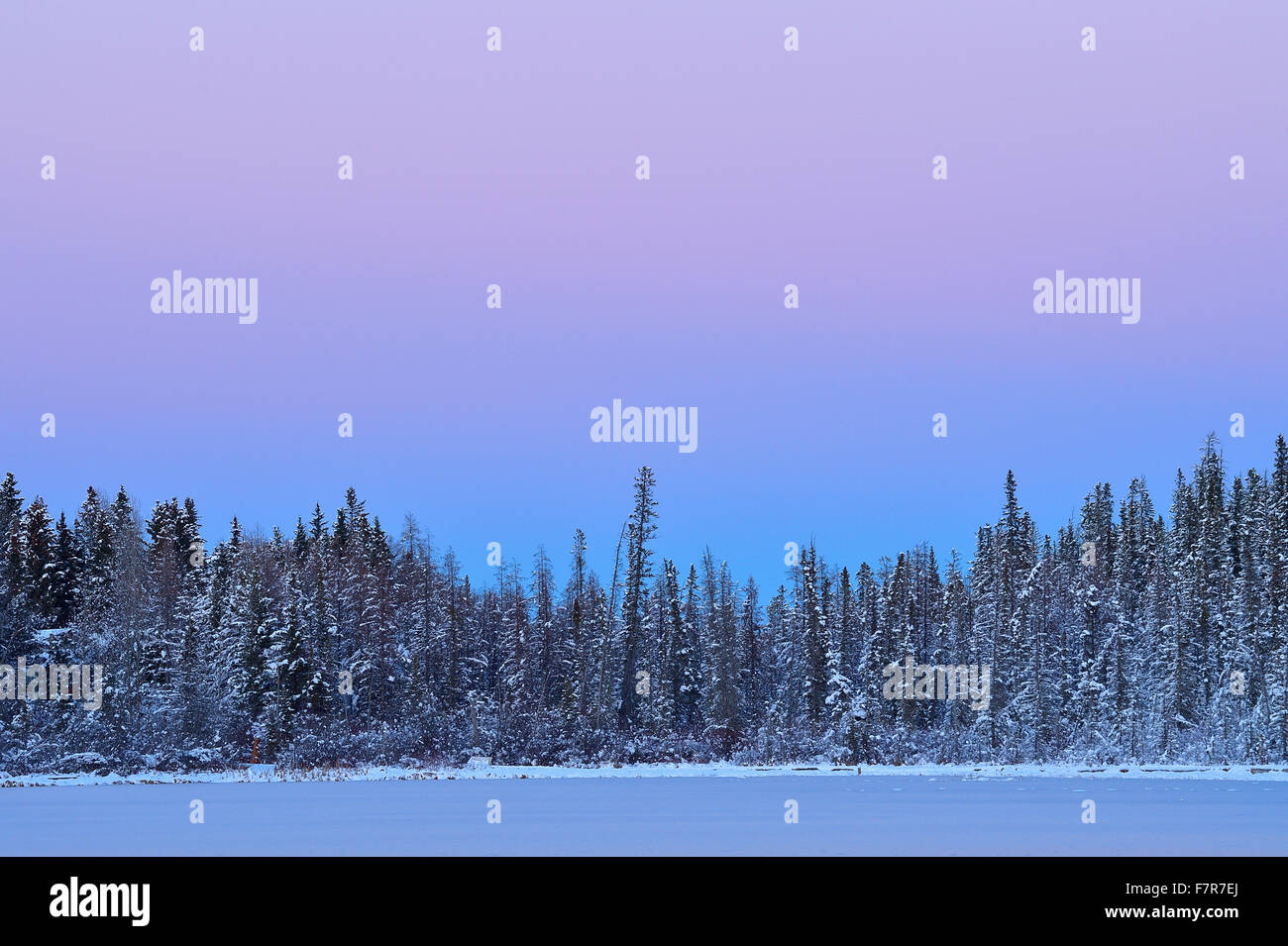 A winter's landscape image of Maxwell lake near Hinton Alberta with