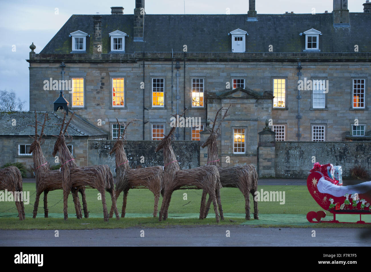 Willow reindeer at Christmas in the garden at Wallington, Northumberland Stock Photo Alamy