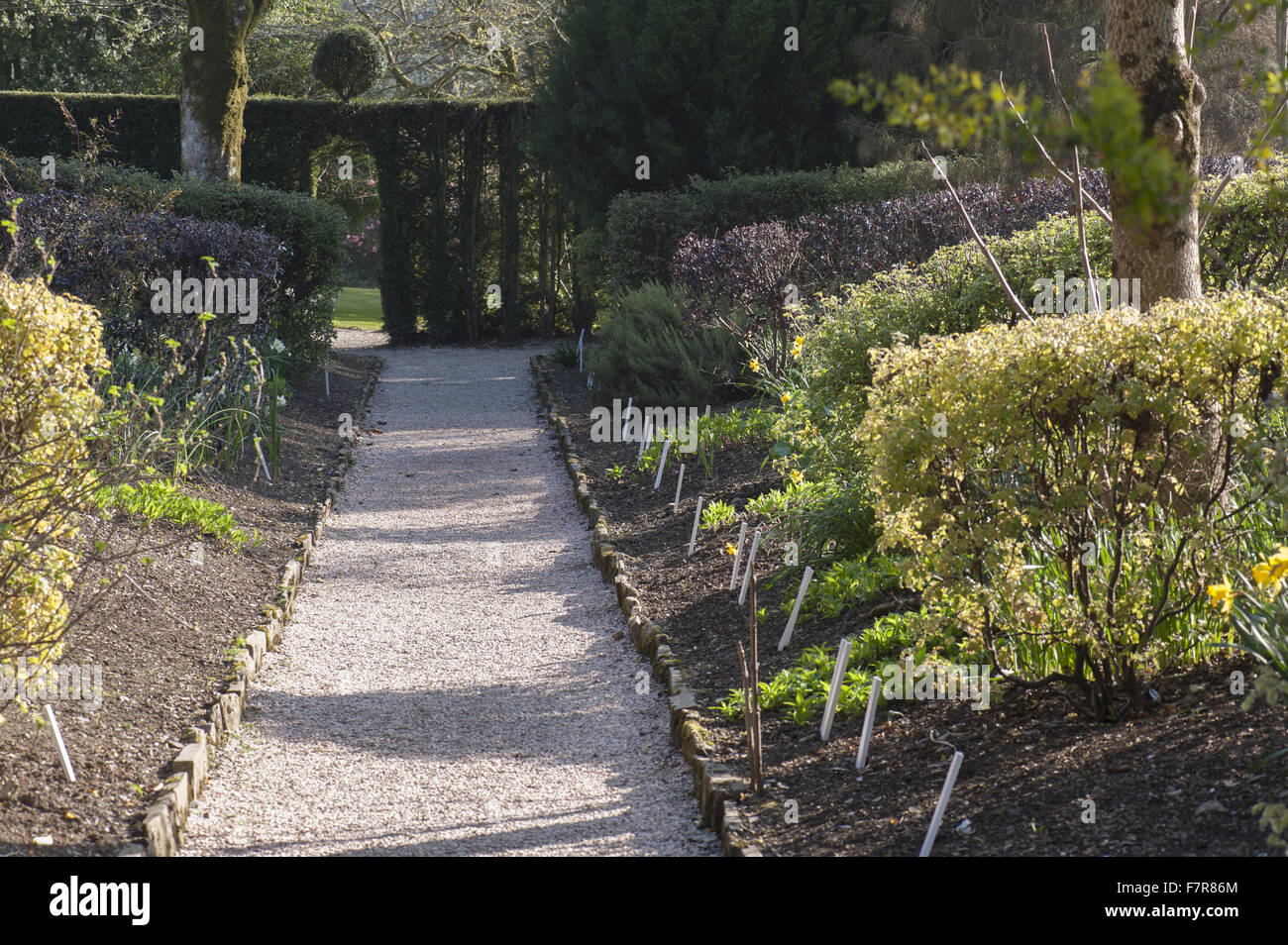 View at dawn down the path in the market garden area at Cotehele, Cornwall. Stock Photo