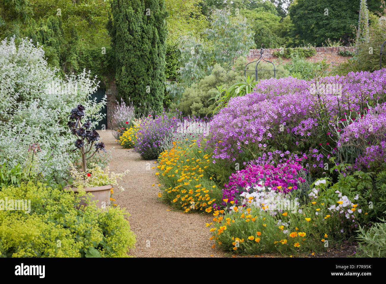 Flowers growing in the Walled Garden at Felbrigg Hall, Gardens and