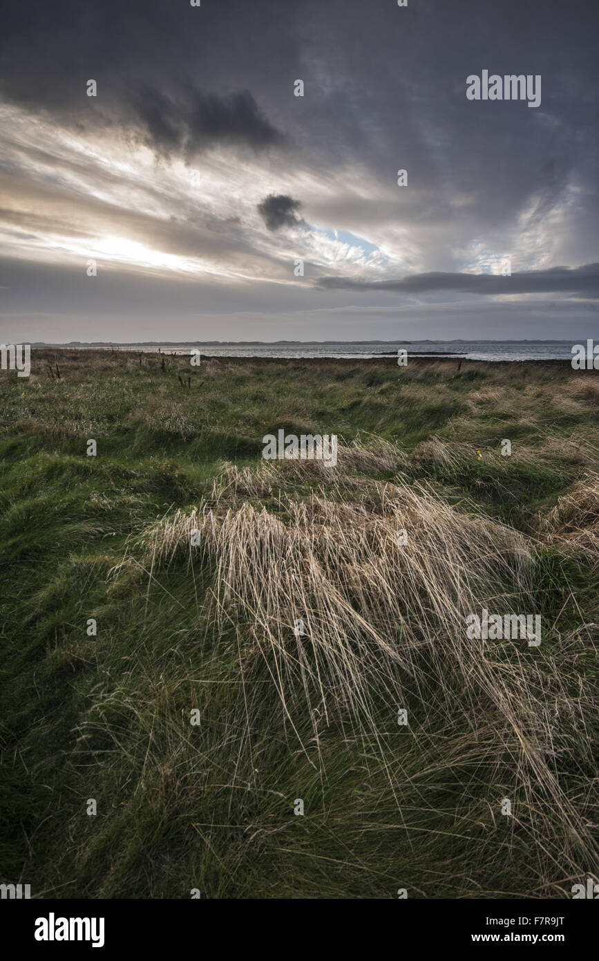 Ballyhenry Island, County Down. Ballyhenry Island is a rocky island of