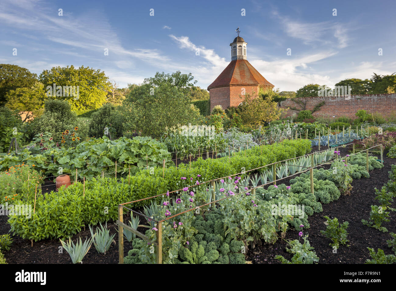 The community allotment, with the Dovecote in the background, in the Walled Garden at Felbrigg Hall, Gardens and Estate, Norfolk. Stock Photo