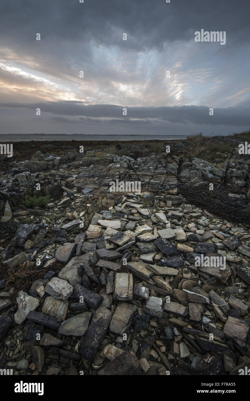 Ballyhenry Island, County Down. Ballyhenry Island is a rocky island of