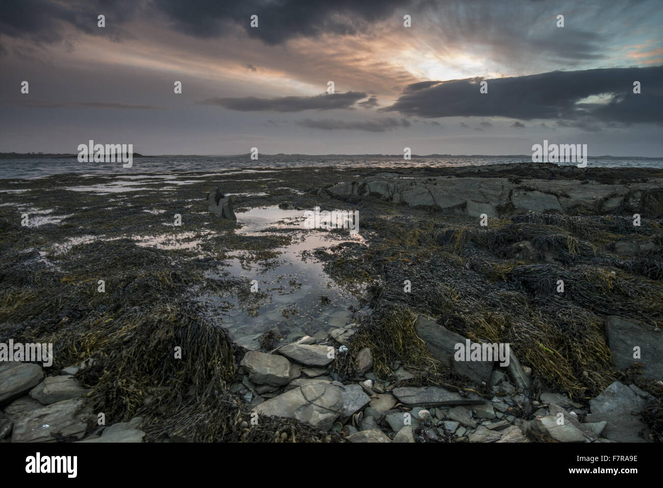 Ballyhenry Island, County Down. Ballyhenry Island is a rocky island of