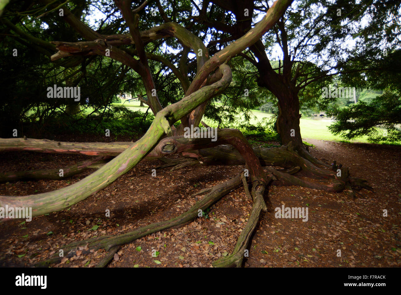 18th century landscape garden hi-res stock photography and images - Alamy